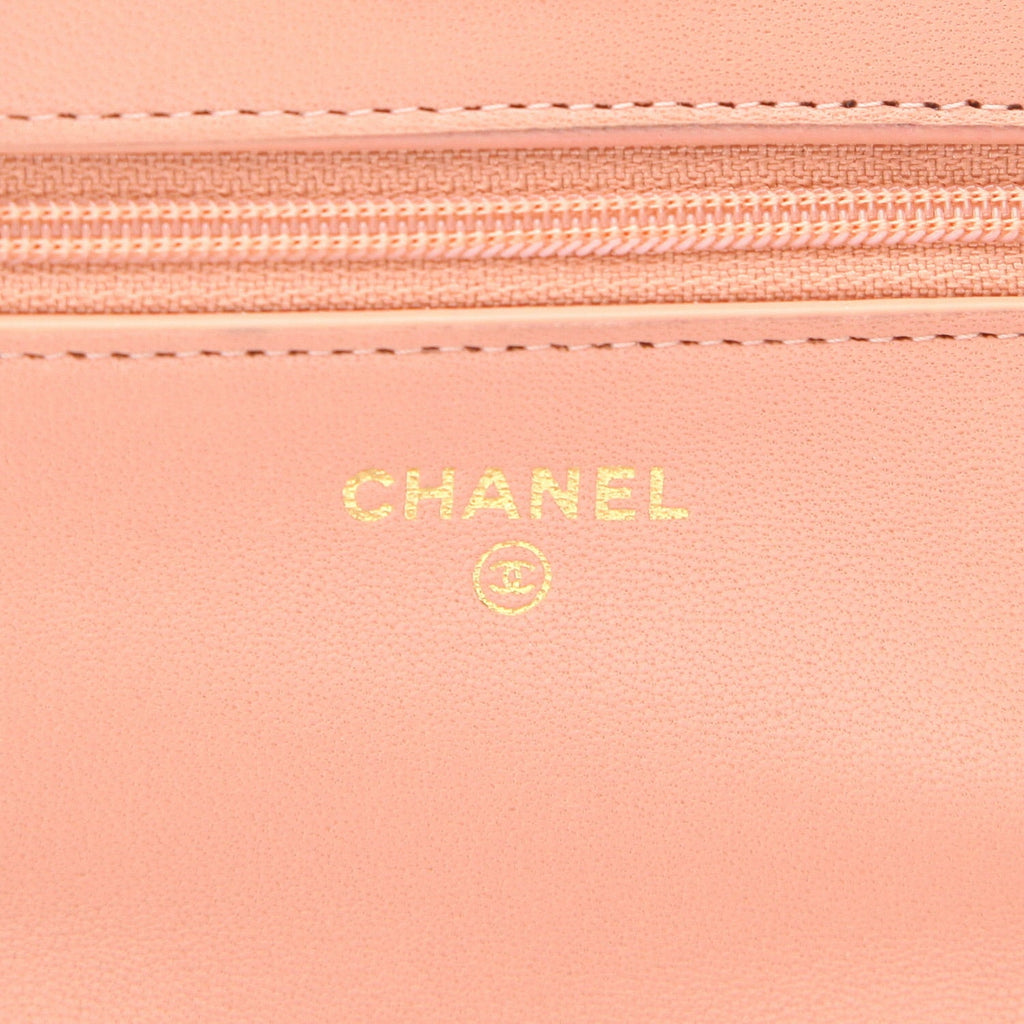 Chanel Wallet on Chain 19 shoulder bag in pink quilted leather - DETAIL 2